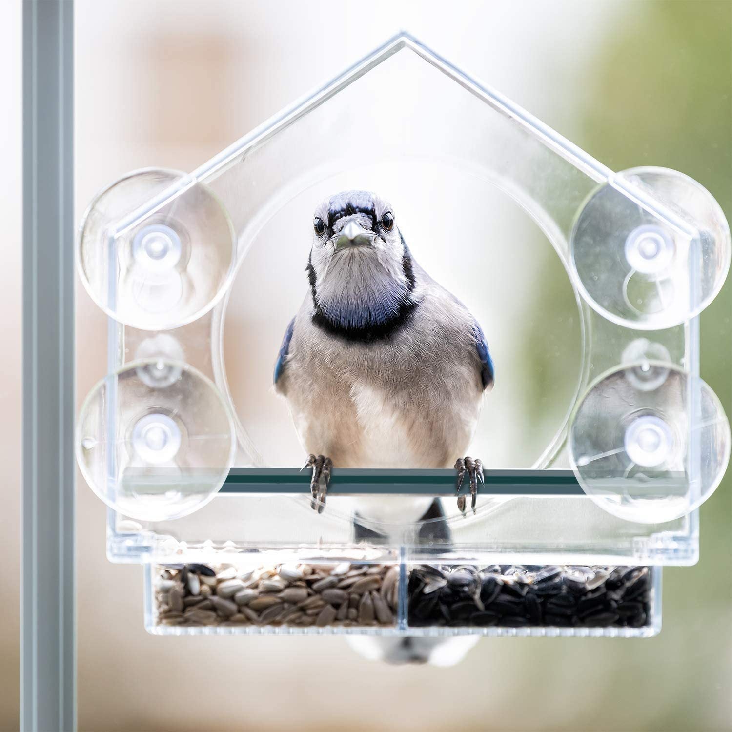 Bring Your Backyard to Life with Our Hanging Transparent Acrylic Organic Glass Bird Feeder